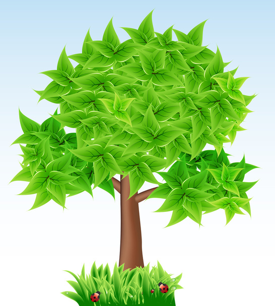 Realistic spring tree - Vector, Image