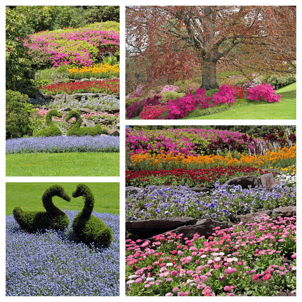 Romantic, colorful flowering garden - Photo, Image