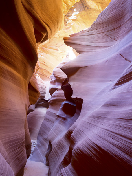 Canyons à sous du Sud-Ouest - Arizona
 - Photo, image