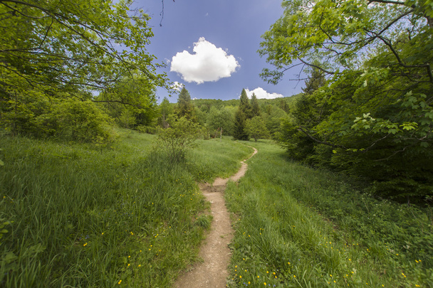 Green hills - Foto, afbeelding