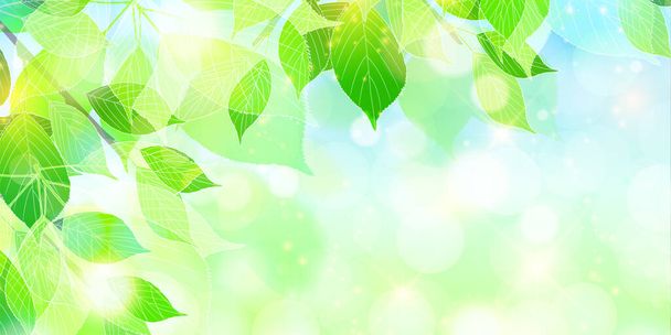 Čerstvé zelené listy krajinném zázemí - Vektor, obrázek