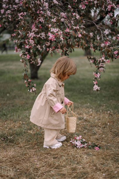 A little girl, a child in a beige raincoat and trousers walks along a green lawn in a garden of blooming apple trees. Spring - Photo, Image