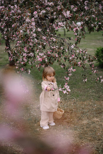 A little girl, a child in a beige raincoat and trousers walks along a green lawn in a garden of blooming apple trees. Spring - Photo, Image