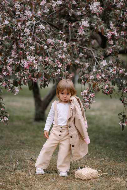 Una piccola ragazza elegante, un bambino, si erge sullo sfondo di un melo in fiore e tiene in mano un impermeabile beige. Un cesto di vimini si trova ai piedi delle ragazze - Foto, immagini