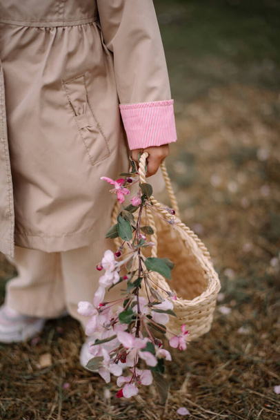 un niño en un elegante impermeable beige y pantalones sostiene en sus manos una cesta y una rama de sakura con flores rosadas - Foto, Imagen