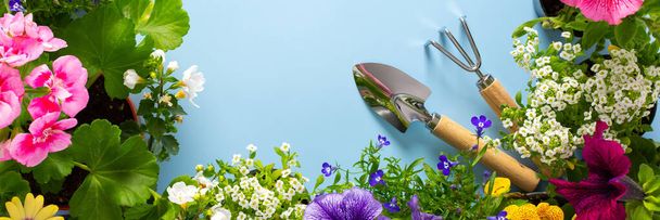 Весеннее оформление домашнего балкона или террасы с цветочным баннером, Лобелия и Алиссум, Бакопа и Петуния, Гераниум и Остеоспермама на голубом фоне, домашнее садоводство и хобби - Фото, изображение