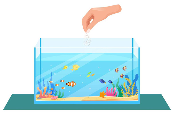 Vector fish food in a rectangular aquarium, Feeding fish tank fish. Pets flat vector illustration - Vector, Image