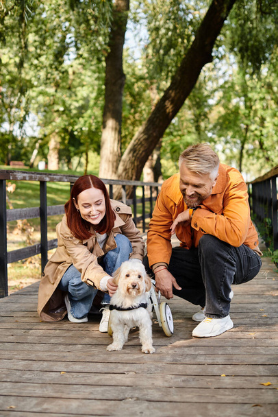Ein erwachsenes Paar streichelt bei einem gemütlichen Spaziergang im Park zärtlich einen kleinen Hund. - Foto, Bild