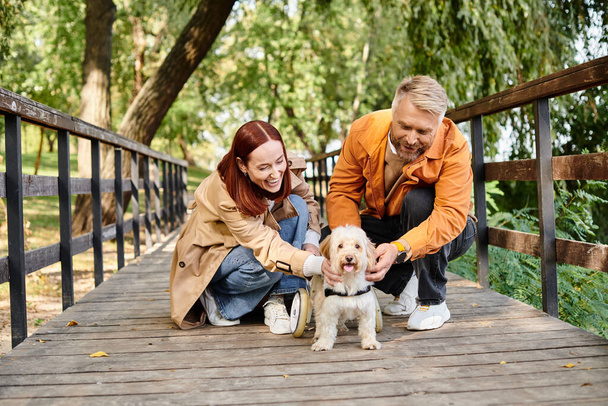 Uomo e donna accarezzano amorevolmente un cane su un ponte nel parco. - Foto, immagini