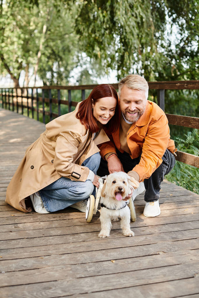 A loving couple and their furry companion enjoying a peaceful moment on a park bench. - Photo, Image