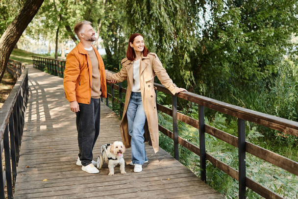 Ένα ζευγάρι με περιστασιακή ενδυμασία βγάζει βόλτα το σκύλο του σε μια γέφυρα στο πάρκο.. - Φωτογραφία, εικόνα