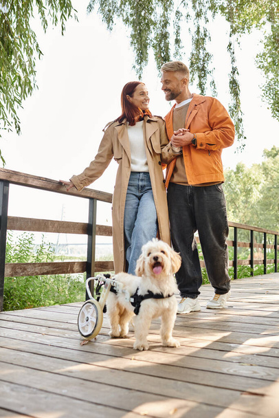 Пара и их собака наслаждаются мирным моментом на мосту в парке. - Фото, изображение