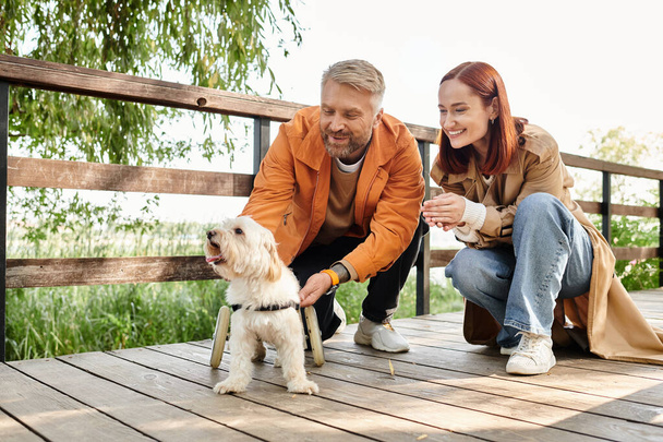 Una pareja en traje casual mascota un perro en una cubierta de madera en el parque. - Foto, imagen