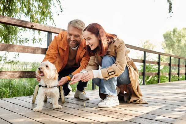 Um casal amoroso adulto em traje casual animal de estimação um pequeno cão enquanto dá um passeio no parque. - Foto, Imagem