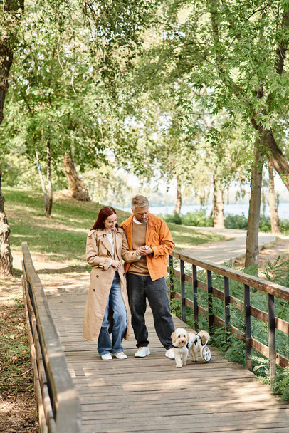Couple chien de promenade sur pont paisible dans le parc. - Photo, image