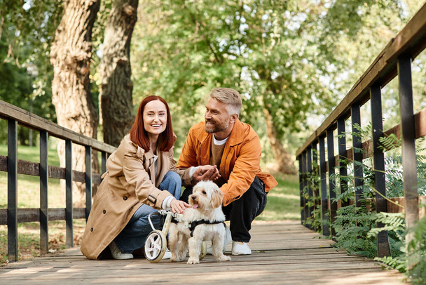Una pareja amorosa se sienta en un puente con sus dos perros, disfrutando de un momento tranquilo en el parque. - Foto, Imagen