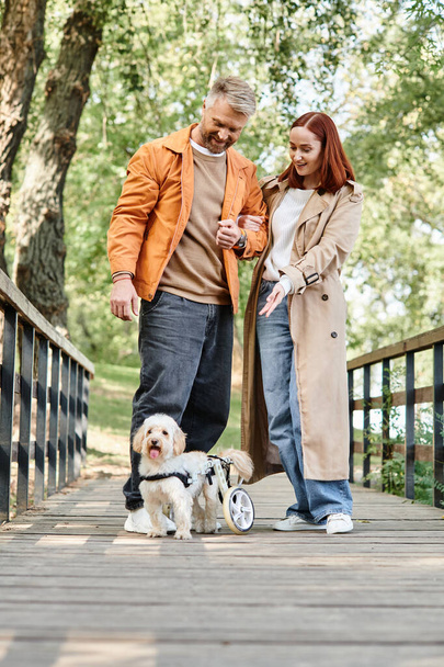 Ένας άντρας και μια γυναίκα με απλή ενδυμασία περπατούν τα σκυλιά τους σε μια γέφυρα.. - Φωτογραφία, εικόνα