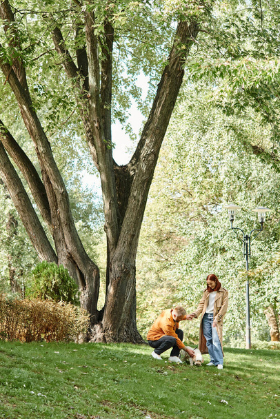 Una coppia in abbigliamento casual in piedi insieme in un parco erboso. - Foto, immagini