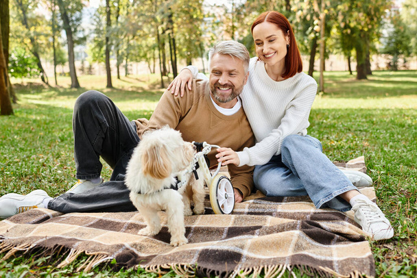 Ένας άντρας και μια γυναίκα χαλαρώνουν σε μια κουβέρτα με ένα σκυλί σε ένα ήσυχο περιβάλλον πάρκο. - Φωτογραφία, εικόνα