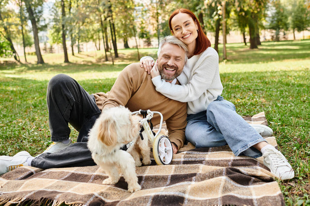 Ένας άντρας και μια γυναίκα κάθονται σε μια κουβέρτα με το σκύλο τους σε ένα πάρκο. - Φωτογραφία, εικόνα
