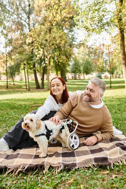 Een man en vrouw in casual kleding zitten op een deken met hun hond in een rustige park omgeving. - Foto, afbeelding