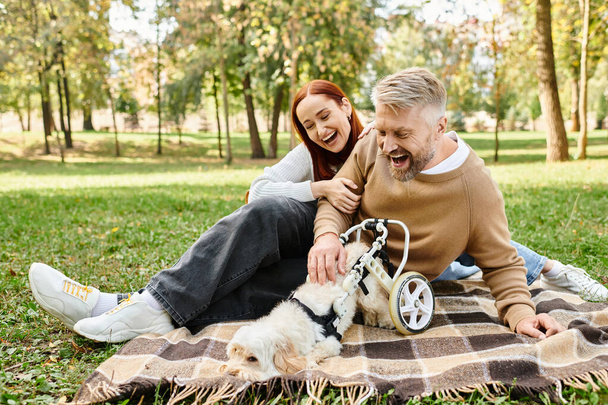 Ένα ζευγάρι με περιστασιακή ενδυμασία κάθεται σε μια κουβέρτα με το σκυλί τους σε ένα ήσυχο περιβάλλον πάρκο. - Φωτογραφία, εικόνα