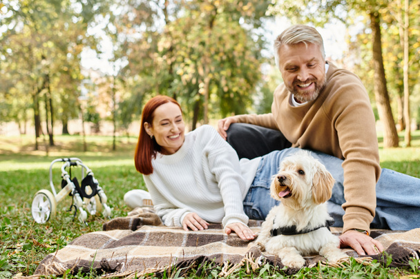 A couple relaxes on a blanket in the park with their dog by their side. - Photo, Image