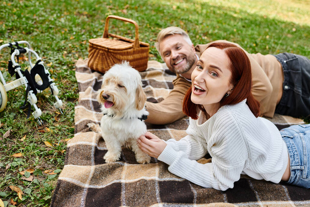 Ένας άντρας και μια γυναίκα ξάπλωσαν σε μια κουβέρτα στο πάρκο με το σκύλο τους.. - Φωτογραφία, εικόνα