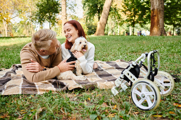 A man and woman relax on a blanket with their dog in a serene outdoor setting. - Photo, Image