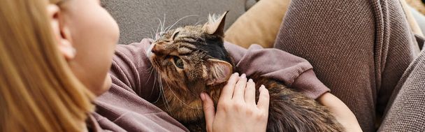 Una mujer con el pelo corto se sienta en un sofá, acariciando suavemente a un gato satisfecho en un ambiente doméstico acogedor. - Foto, Imagen