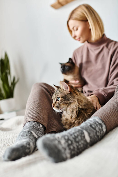 Eine attraktive Frau mit kurzen Haaren sitzt auf einem Bett und hält ihre Katze zärtlich in einem friedlichen Moment zu Hause. - Foto, Bild