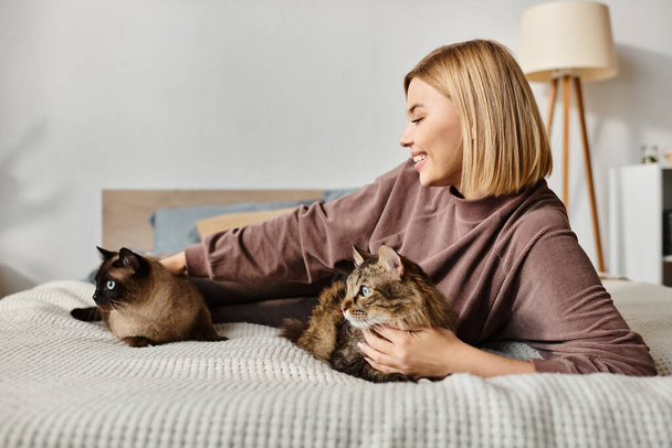 Spokojna kobieta z krótkimi włosami relaksująca się na łóżku z dwoma uroczymi kotami u boku. - Zdjęcie, obraz