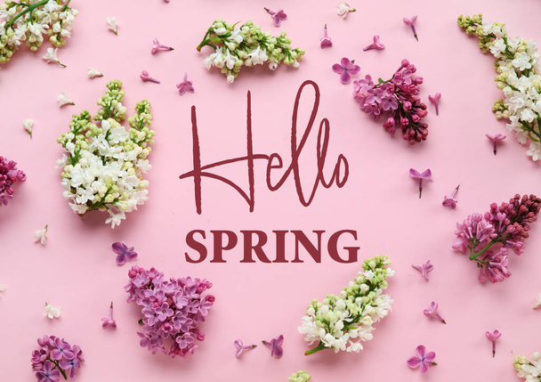 Bannière avec texte HELLO SPRING et fleurs lilas - Photo, image
