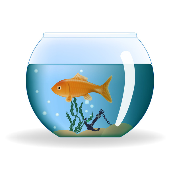 Goldfish in round aquarium - Vettoriali, immagini