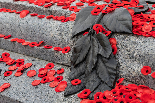 Red poppy flowers on Tomb of the Unknown Soldier in Ottawa, Canada on Remembrance Day - Photo, Image
