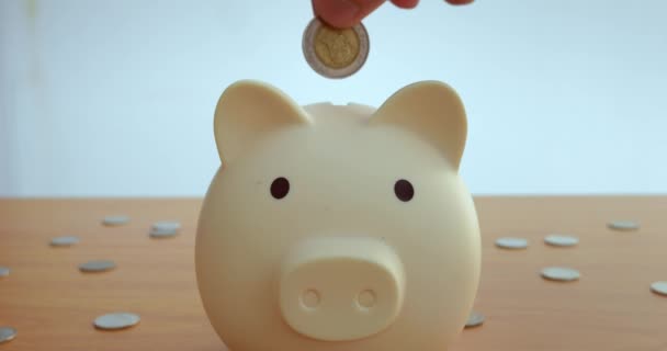 Hand drops coin into piggy bank initiating savings journey Piggy bank symbolise le début de la planification financière sécuriser la richesse future. Pièce en tirelire étape vers la maîtrise du budget liberté financière - Séquence, vidéo
