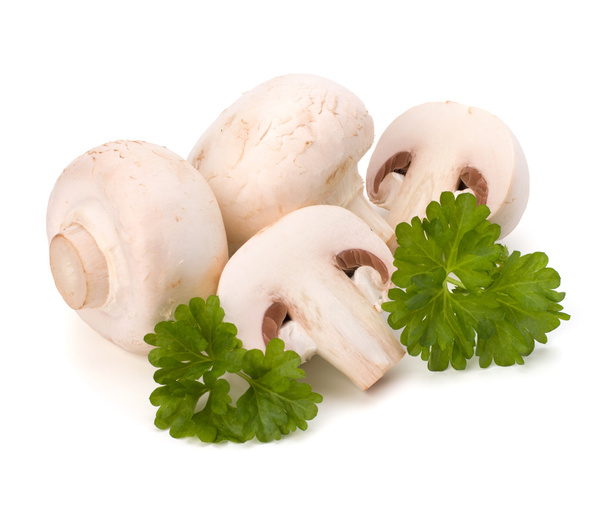 Champignon mushroom and fresh parsley - 写真・画像