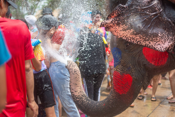 Neşeli bir fil renkli bir su festivali sırasında kalabalığa su püskürtür. - Fotoğraf, Görsel