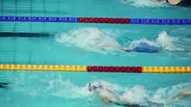 Several sportswomen swim in butterfly style - Materiał filmowy, wideo