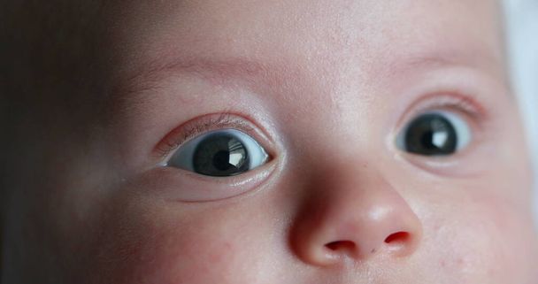 Macro closeup of baby newborn portrait face expression detail - Fotoğraf, Görsel