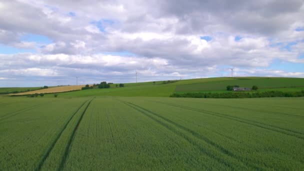 AERIAL: Grote groene tarwevelden met tractorsporen langs de kust van de Noordzee in Schotland. Bouwland op het schilderachtige kustlandschap met werkende windmolens. - Video