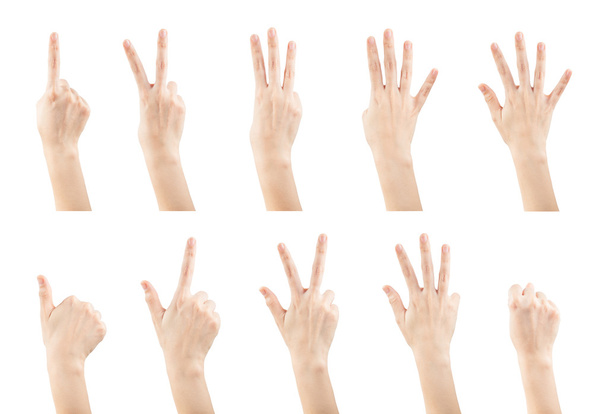 Set female hands gestures making a numbers  - Photo, Image