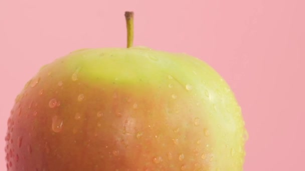 Un primo piano di una mela McIntosh, un alimento base e membro della famiglia delle rose, con gocce d'acqua su uno sfondo rosa. - Filmati, video