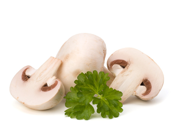 Champignon mushroom and fresh parsley - Valokuva, kuva
