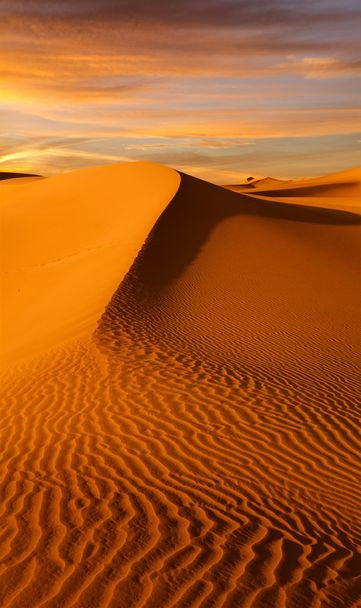 Sand und Sonnenuntergang - Foto, Bild