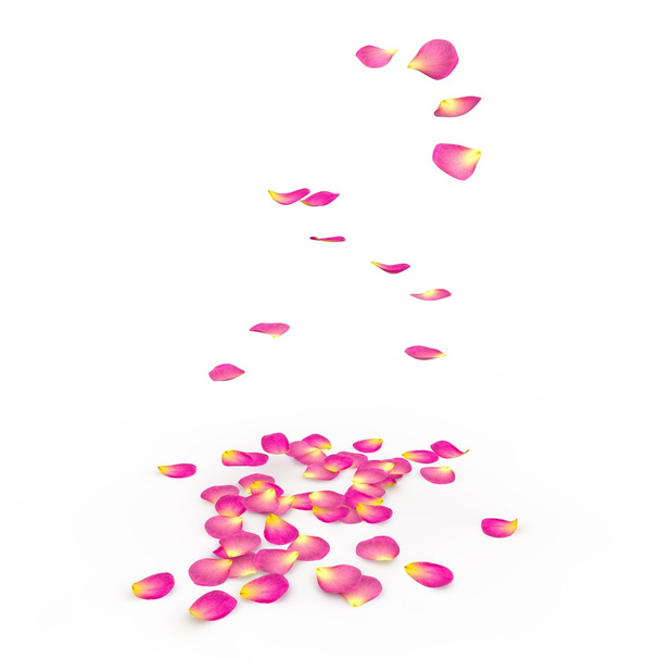 Pétalas de rosa caem no chão
 - Foto, Imagem