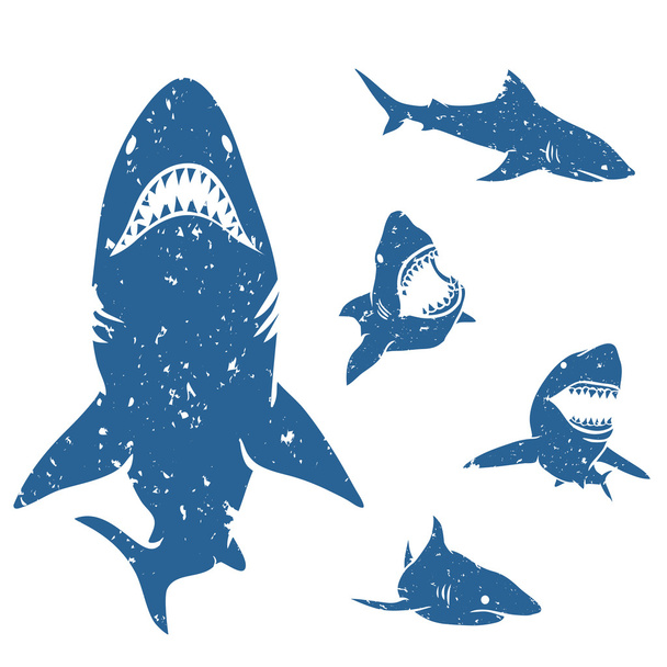 Conjunto de tubarões grandes
 - Vetor, Imagem