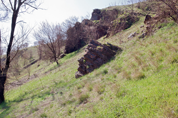 stenen hoofd - Foto, afbeelding