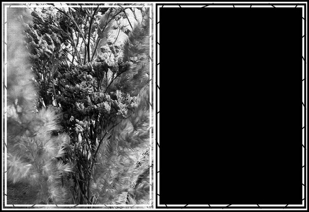 Κάρτα συλλυπητηρίων με ξηρά λουλούδια και πλαίσιο κάρτας. Μαύρο και άσπρο ξηρό floral εικόνα και κενή σελίδα για ανακοίνωση, κείμενο. Διακοσμητικό όριο. - Φωτογραφία, εικόνα