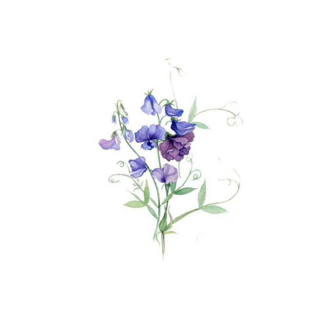 bezszwowe kwiat sztuka wzór element projekt ilustracja - Zdjęcie, obraz